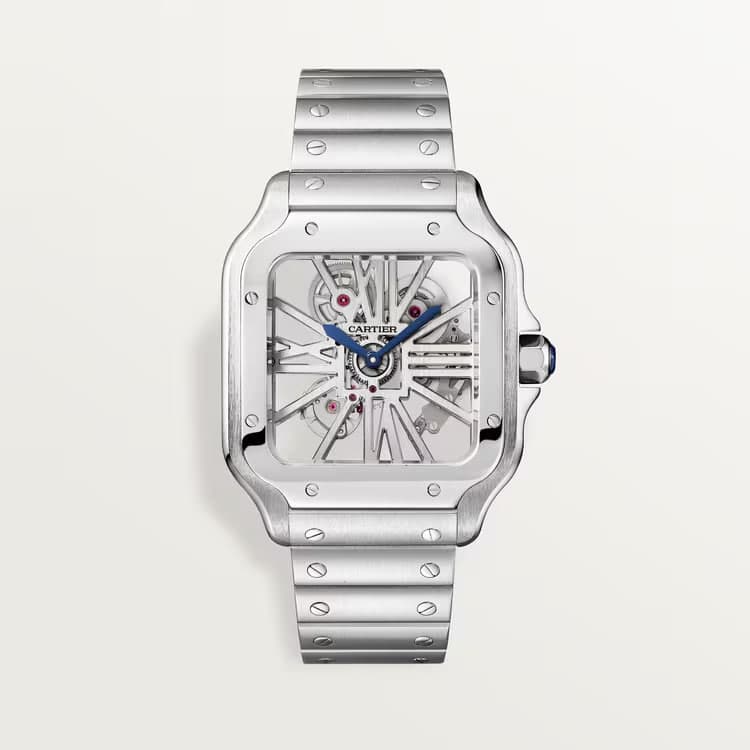 Luxury Watch